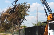 New Stationary Loader lifting tree branches
